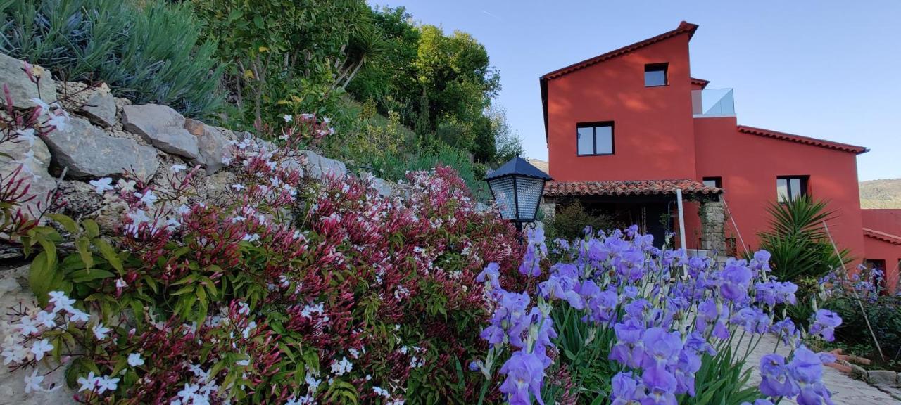 Bed and Breakfast Mas Des Buscades Cabris Exterior foto
