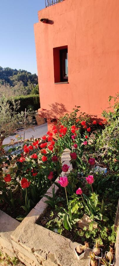 Bed and Breakfast Mas Des Buscades Cabris Exterior foto